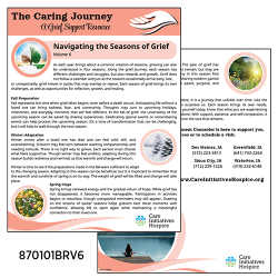 Bereavement Mailer: Navigating the Season of Grief (pkg of 25)